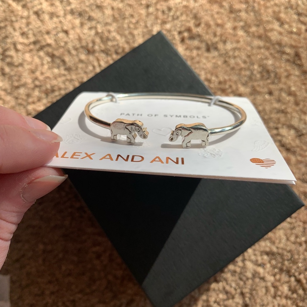 Alex and Ani silver bangle